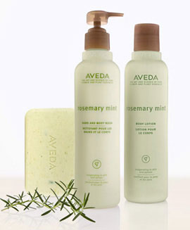 Rosemary Mint Body Wash